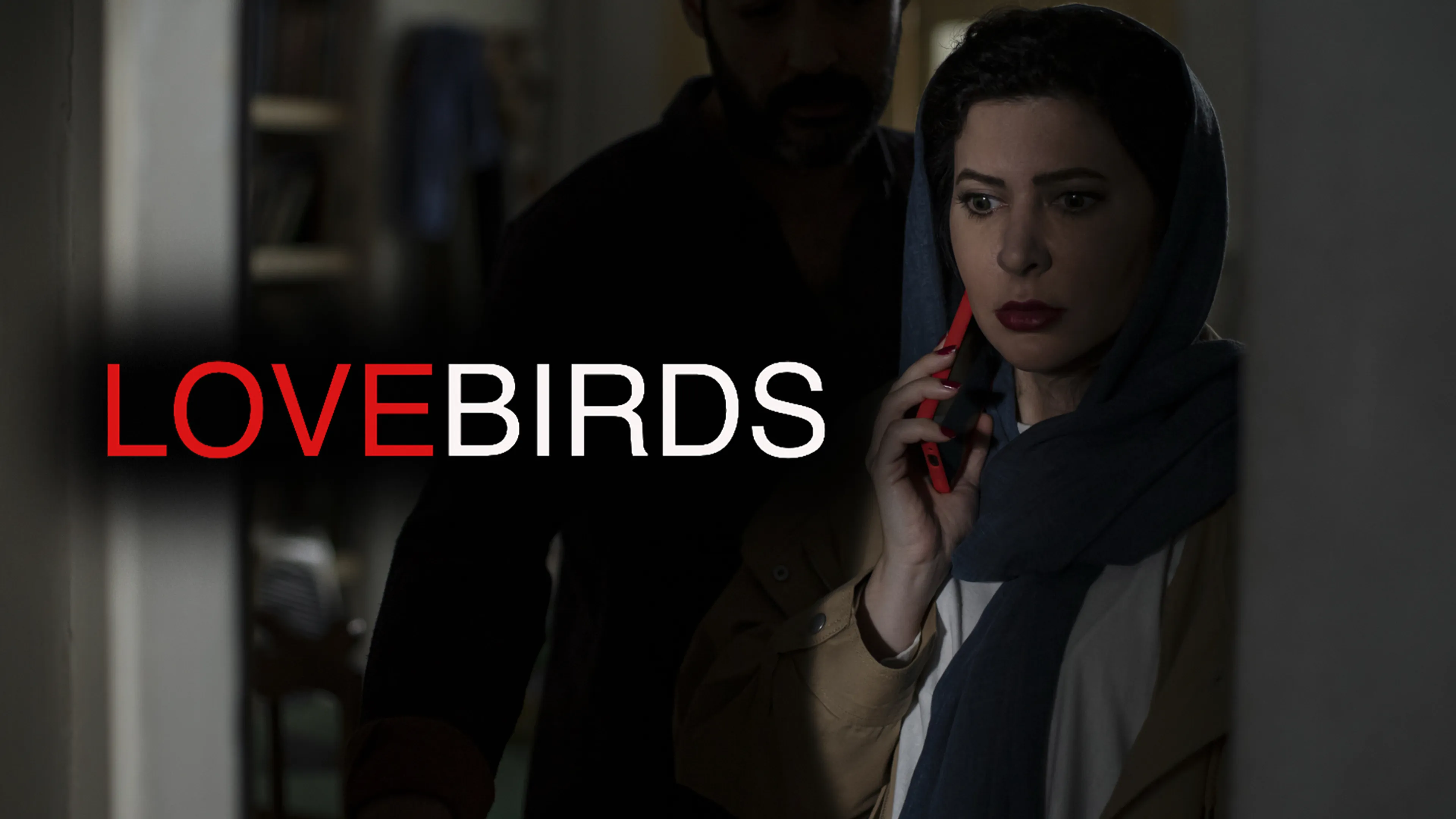 Lovebirds poster